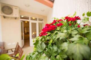 Апартаменты Apartments Sofija Будва Апартаменты с 1 спальней-38